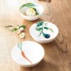 Noritake Coupe Plate 24.1Cm-Kyoka Shunsai Carrot