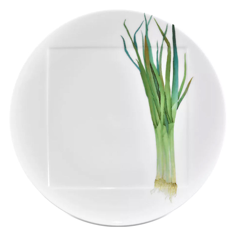 Noritake Dinner Plate 26.9Cm-Kyoka Shunsai Long Green Onion