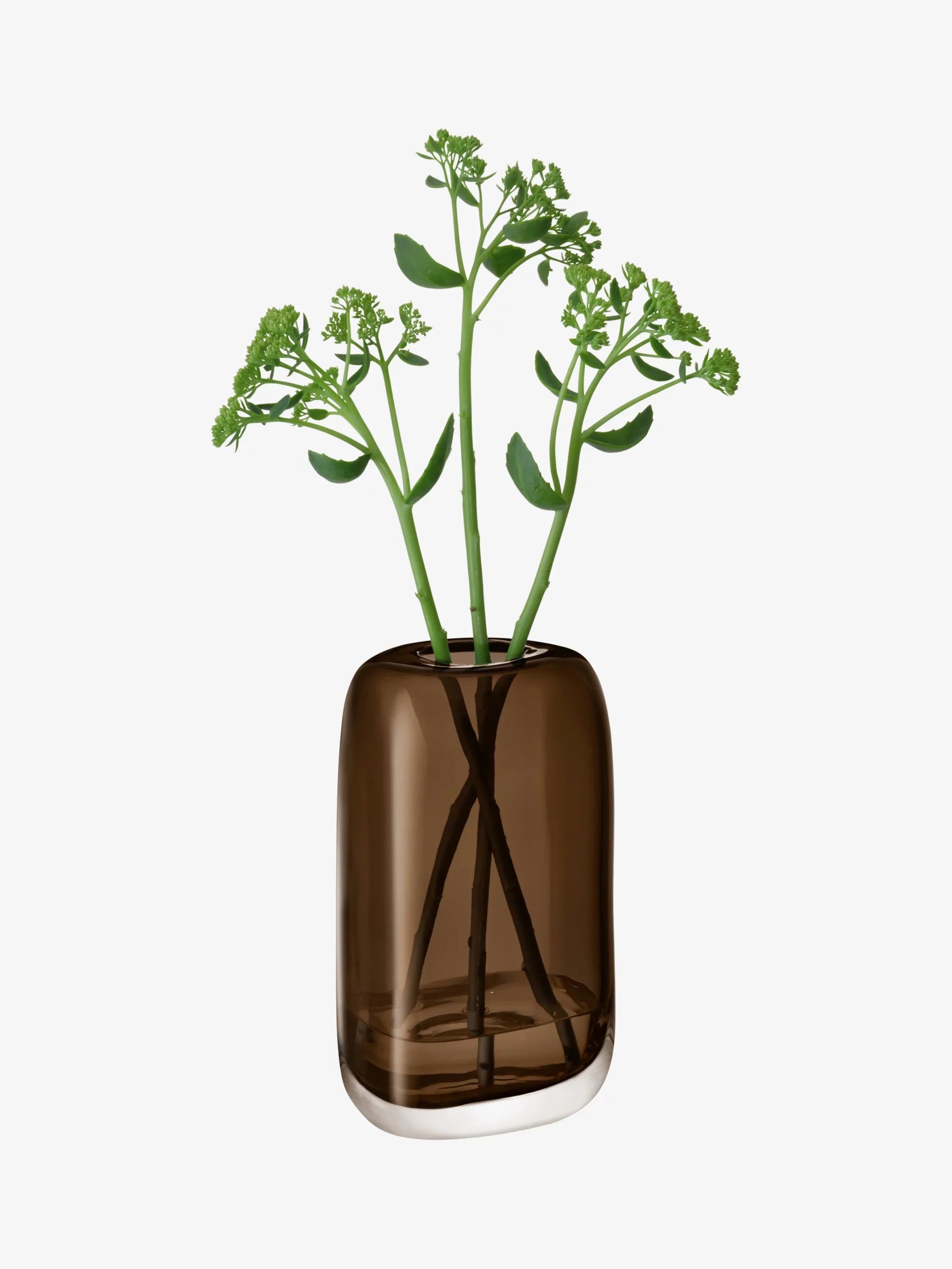 Melt Vase H15cm Mushroom Brown