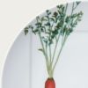 Noritake Dinner Plate 26.9Cm - Kyoka Shunsai Carrot