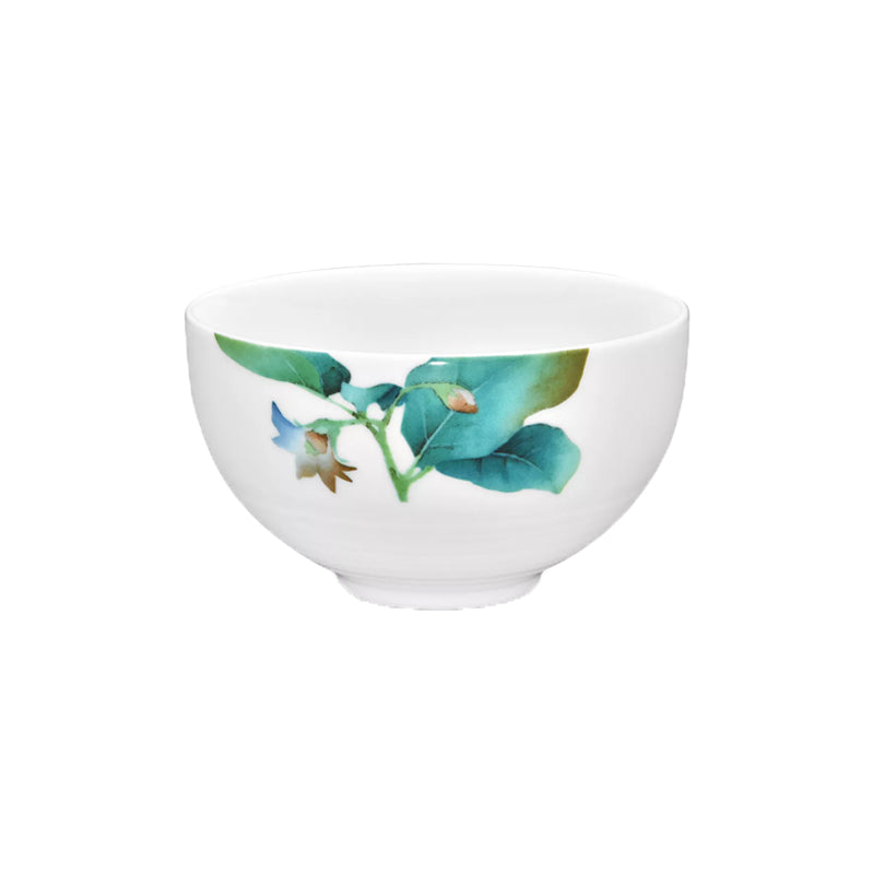 Noritake Café Au Lait Bowl 13.1Cm-Kyoka Shunsai Egg Plant