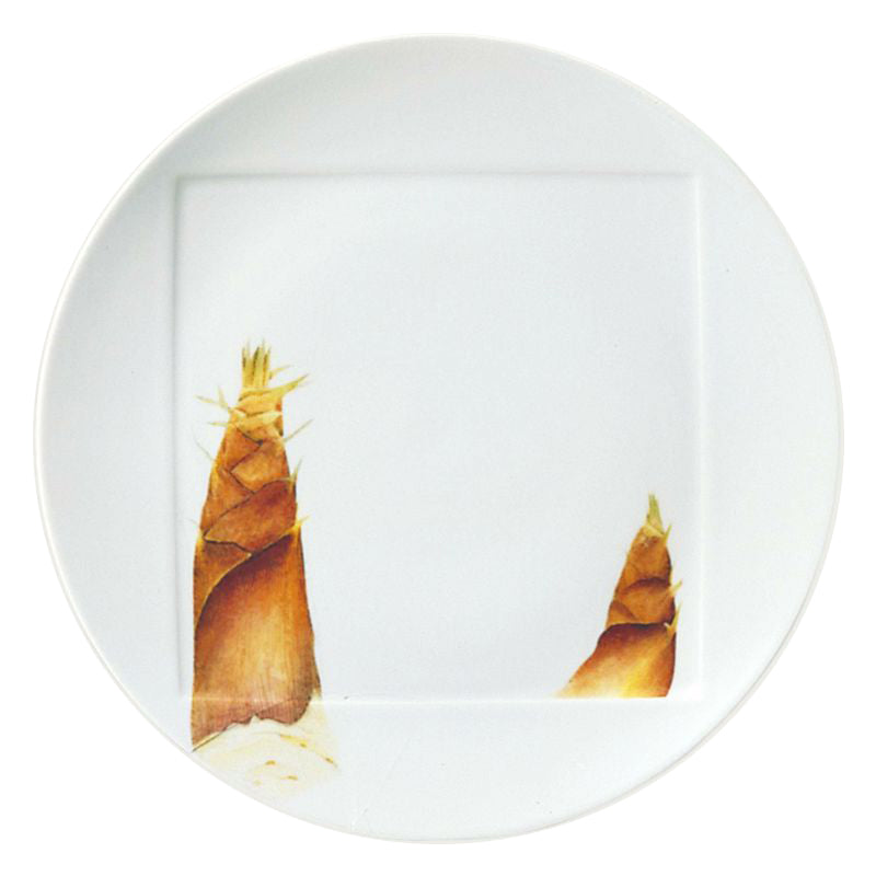 Noritake Dinner Plate 26.9Cm-Kyoka Shunsai