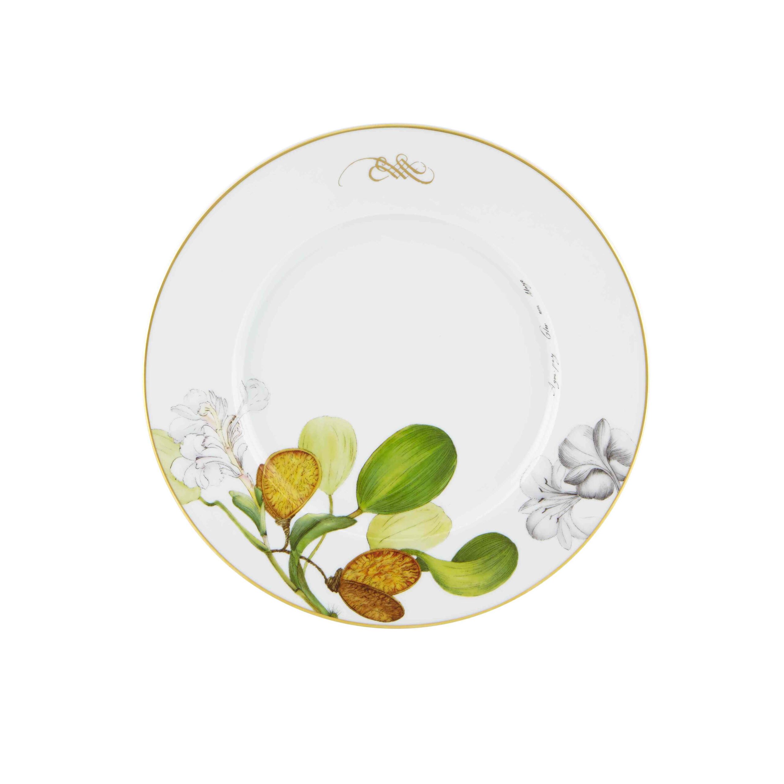 Vista Alegre 47Pcs Dinner & Tea Set for 8 Person - Amazonia