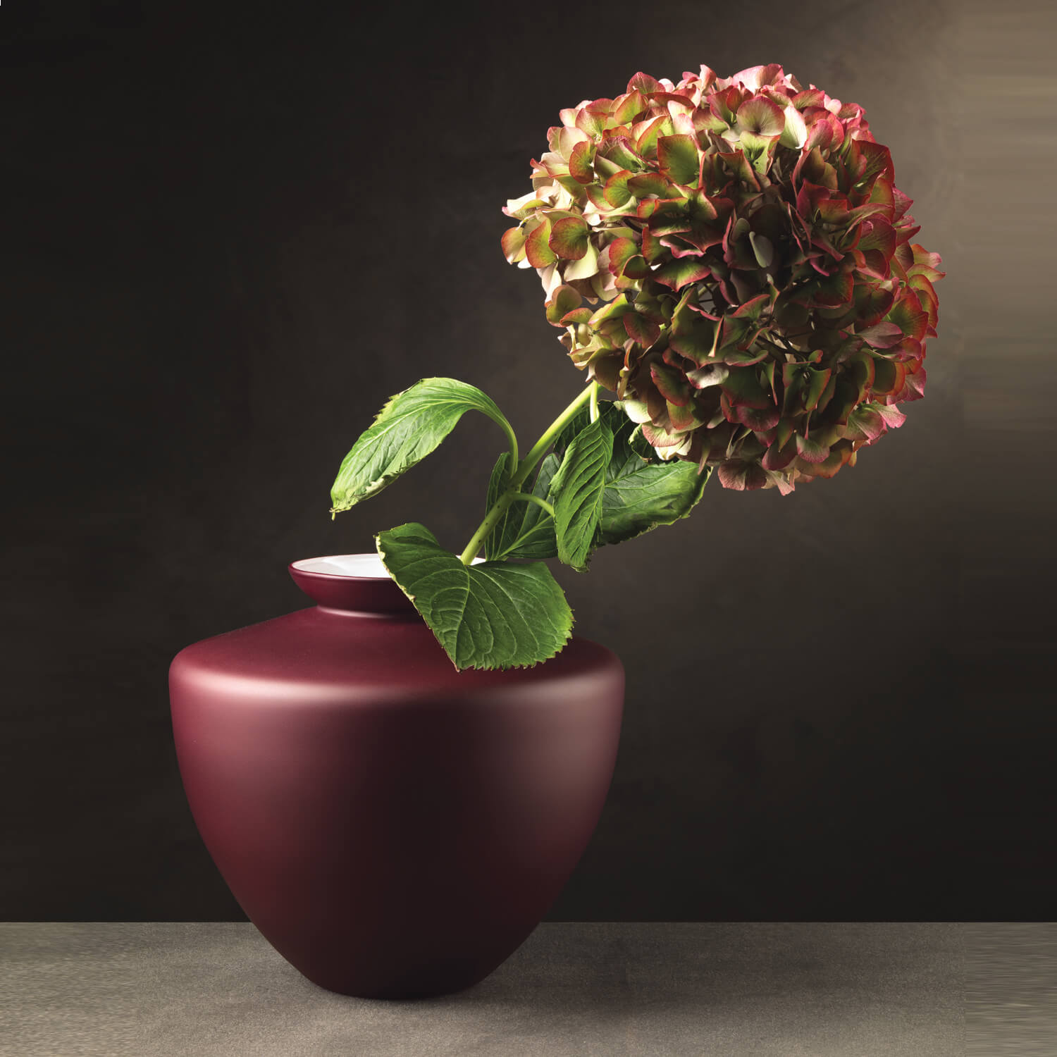 IVV Capabio Vase H.22 CM Mat Capalbio Red