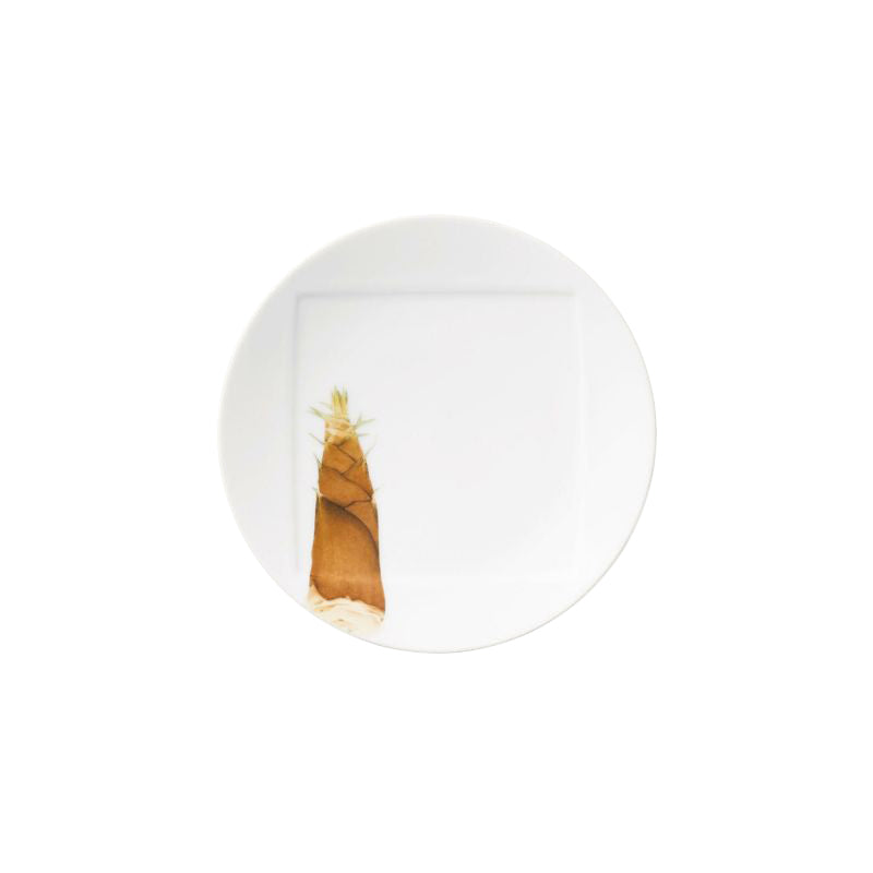 Noritake Plate 15.5Cm-Kyoka Shunsai